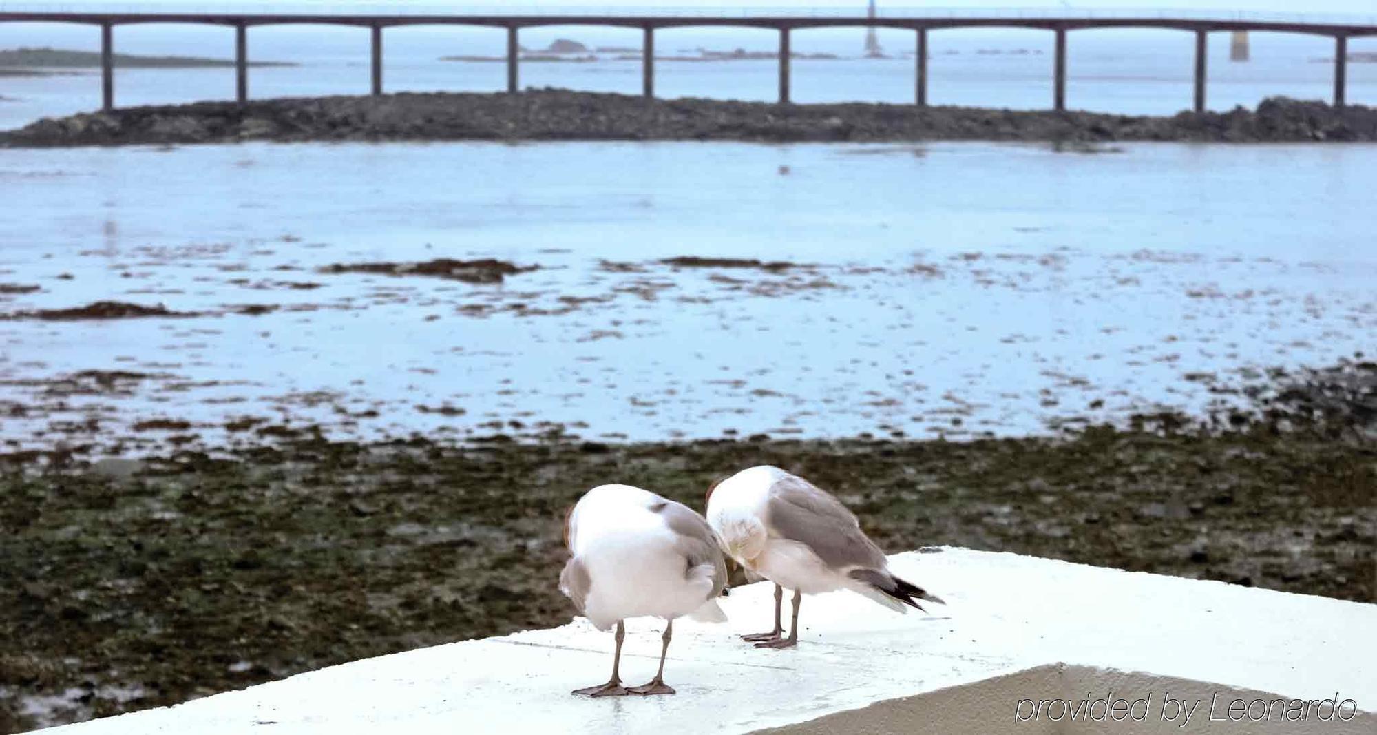 Ibis Roscoff Hotel Kültér fotó